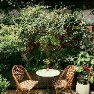 Putra sajaya Putra sajaya