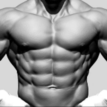 Best Legal Steroids For Muscle Growth