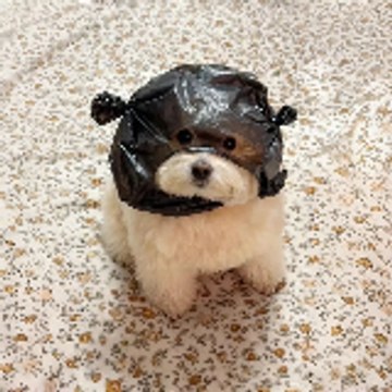 The Fluff Derp Network