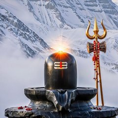 Samar Alam