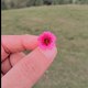 Beauty of World