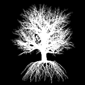 Grace Growth