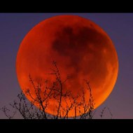 Quran karim islam 114