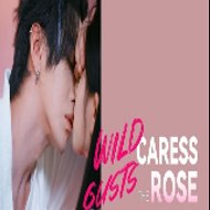 Wild Gusts Caress the Rose ~《Full .HD. Film》~