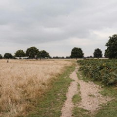 Autumn Days