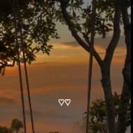 Haseeb Trending song