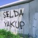 sahin