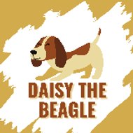 Daisy The Beagle