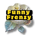 Funny Frenzy