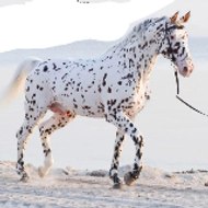 Entertainment & Fun Zone