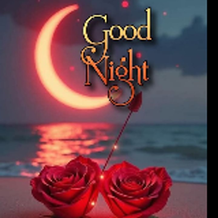 Dailymotion profile picture for @Goodnight