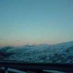 peluche_31