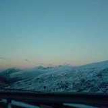 peluche_31