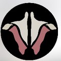 InstituteofHumanAnatomy