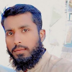 Syed Mehmood Ali