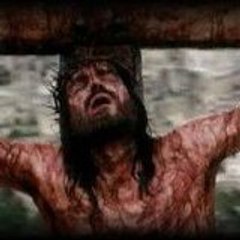 The Coptic Orthodox Church