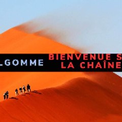 BULGOMME GOMME