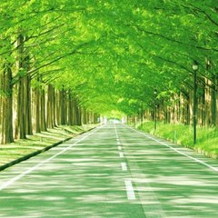 Kamranabbas Abbas