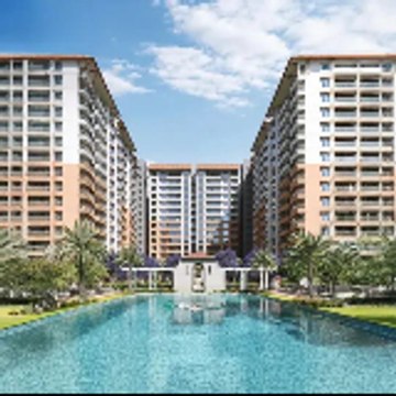 Prestige Evergreen