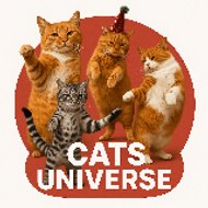 Cats Universe