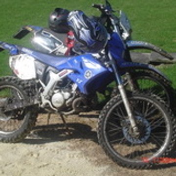alex61MX