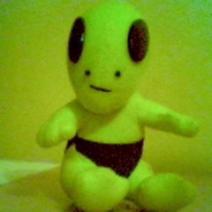 ufolo