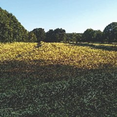 Kazel-ha-Kazel