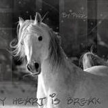 cheval03