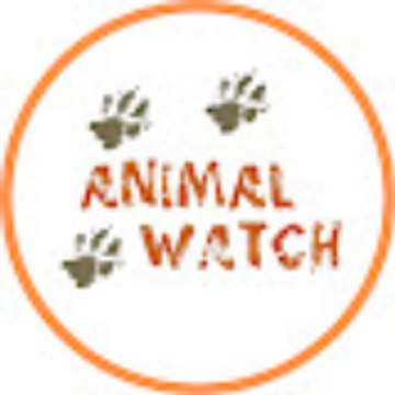 Animal Watch