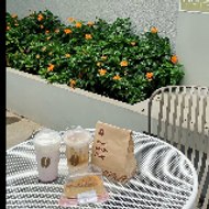 Cara Mengatasi Dak Bocor