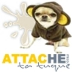 Taz