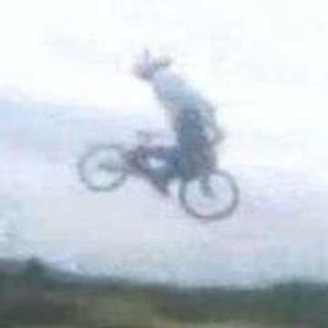 densbmx