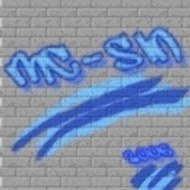 MC-SIN