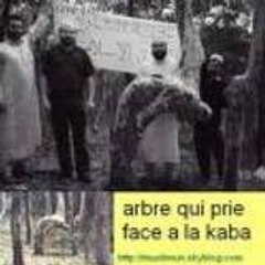 momodu75002