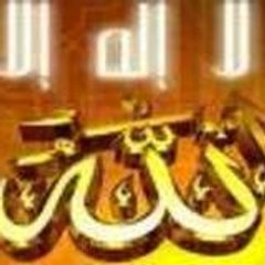 elagag adel