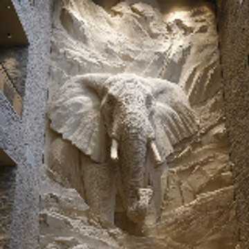alexc.asj724