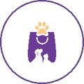 Pets Accessories