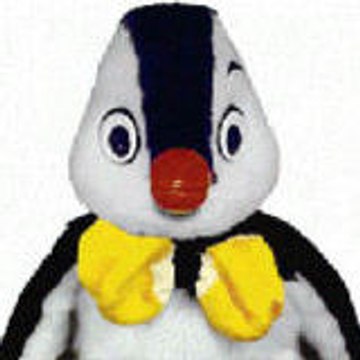master_pingouin