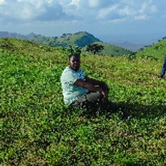 nmuli_ddp984