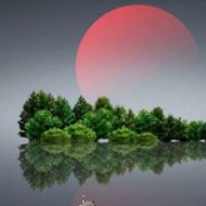 *The Muslim's Diary*