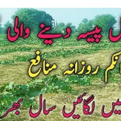 AGRICULTUREZARAT