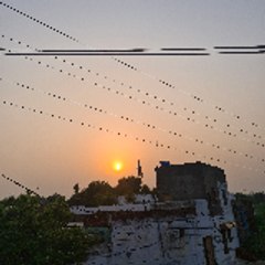 Jhelum838