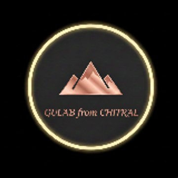 GuLABfromchitral🏔