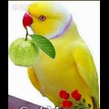 Funny stories