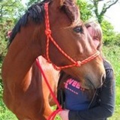 fan_de_chvo