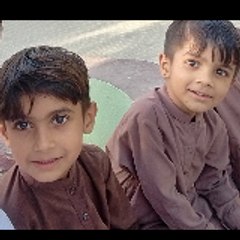 Littlestartwins