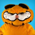 Lasagna Cat Archive