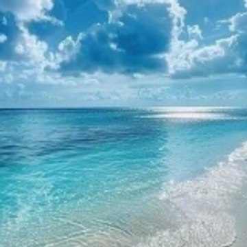 TheWaterDiaries