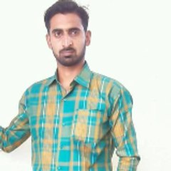shahi.wdp191