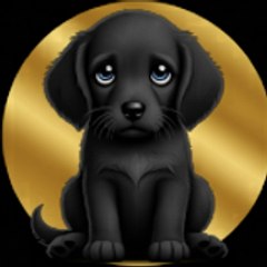 The Puppy
